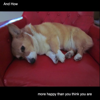 And How – More Happy Than You Think You Are