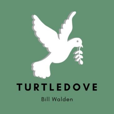 Bill Walden Releases New Album “Turtledove”