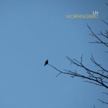 LN Releases “Morningbird” Via Velvet Blue Music
